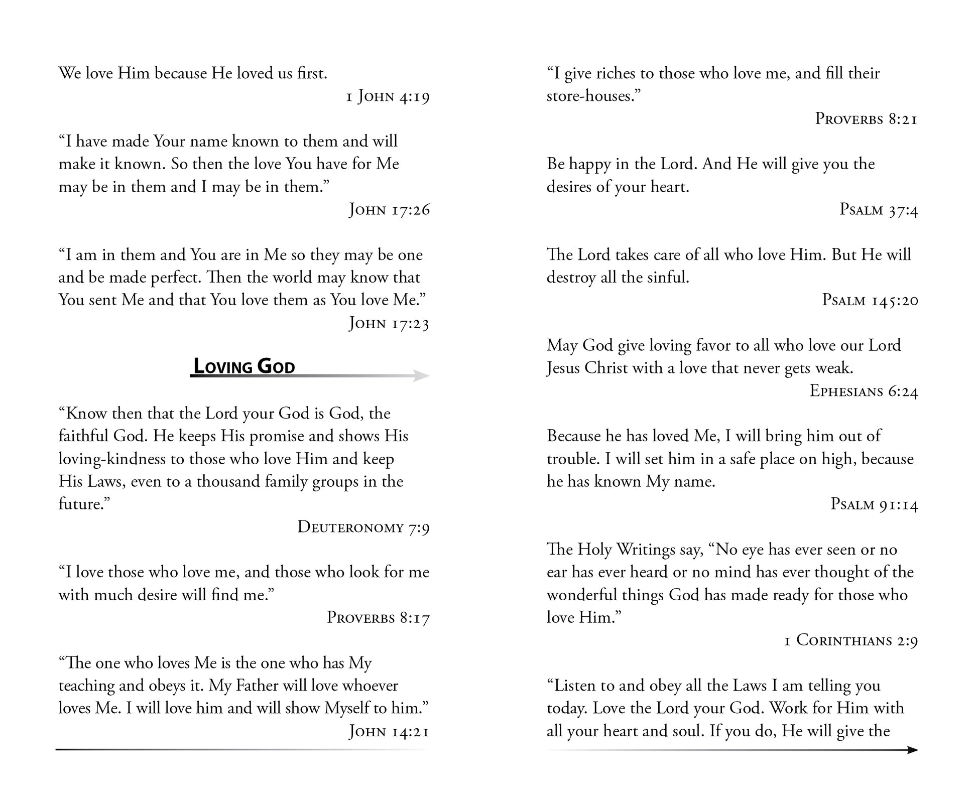 The Bible Promise Book - NLV - The Christian Gift Company