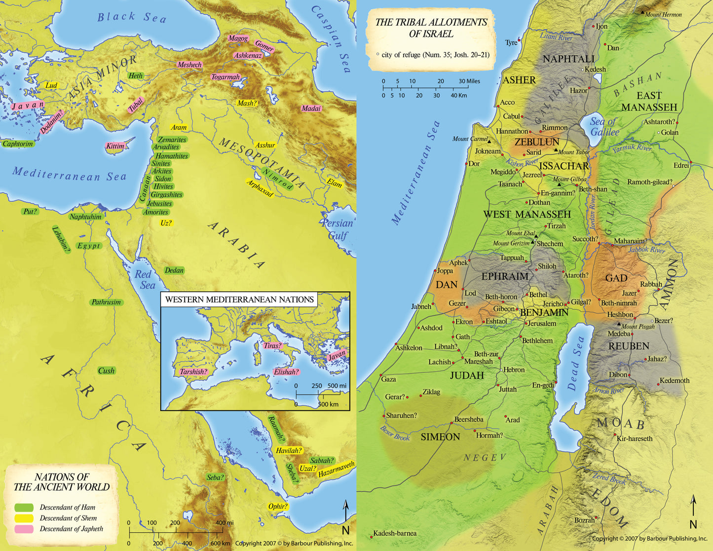 KJV Study Bible (Wildflower Bouquet) - The Christian Gift Company