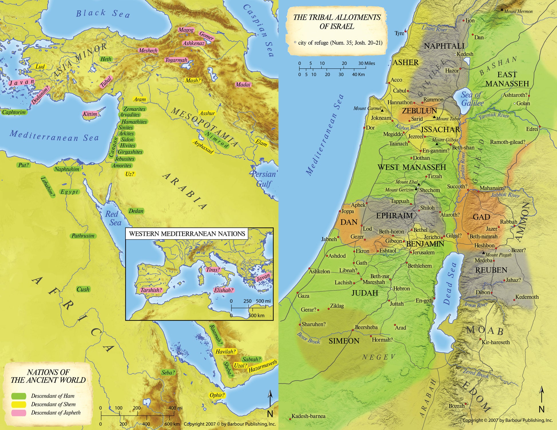 KJV Study Bible (Wildflower Bouquet) - The Christian Gift Company