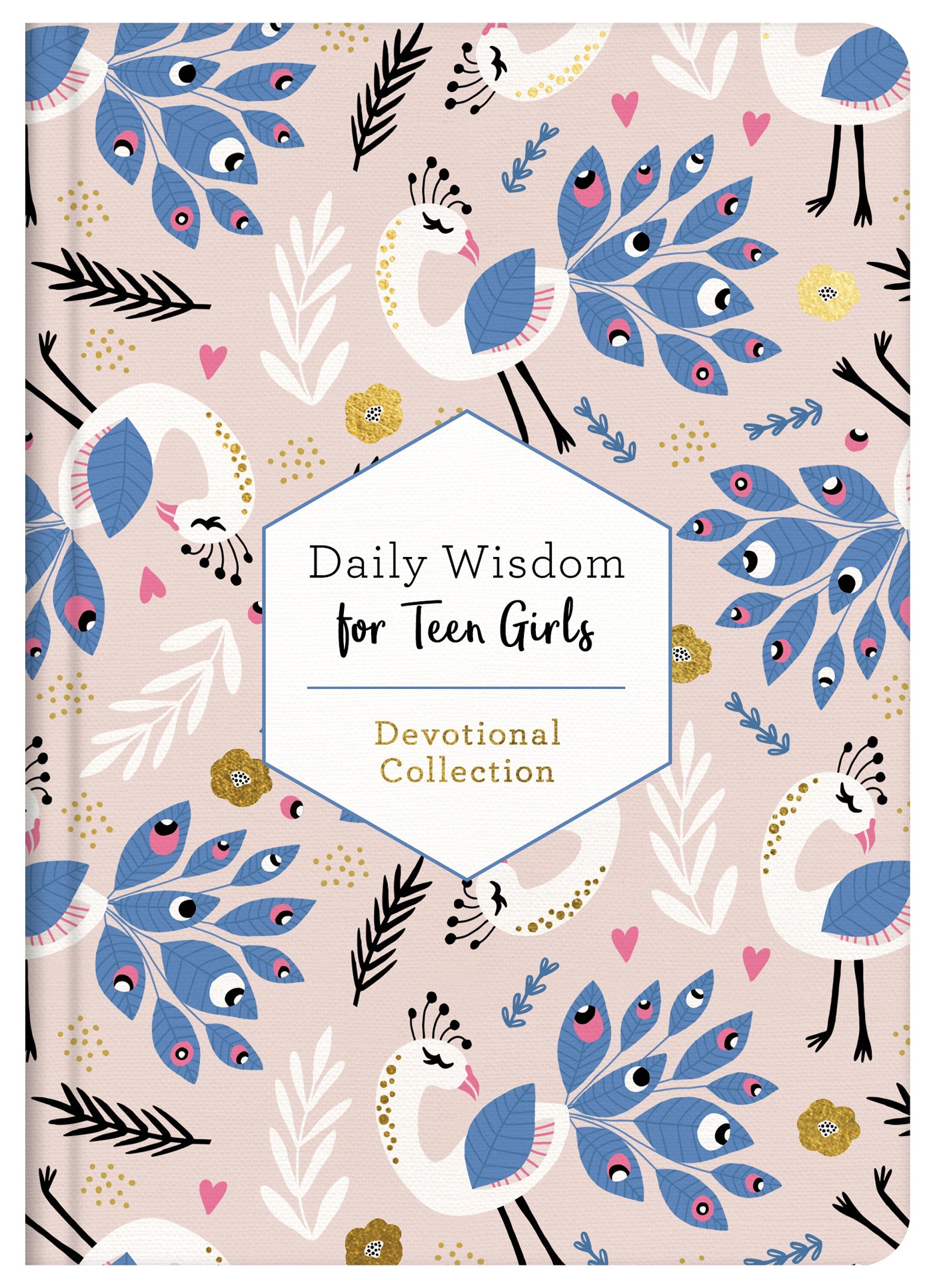 Daily Wisdom for Teen Girls - The Christian Gift Company