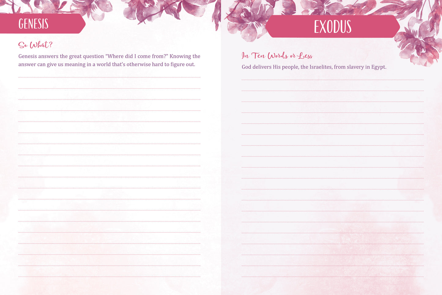 Know Your Bible Journal for Women - The Christian Gift Company