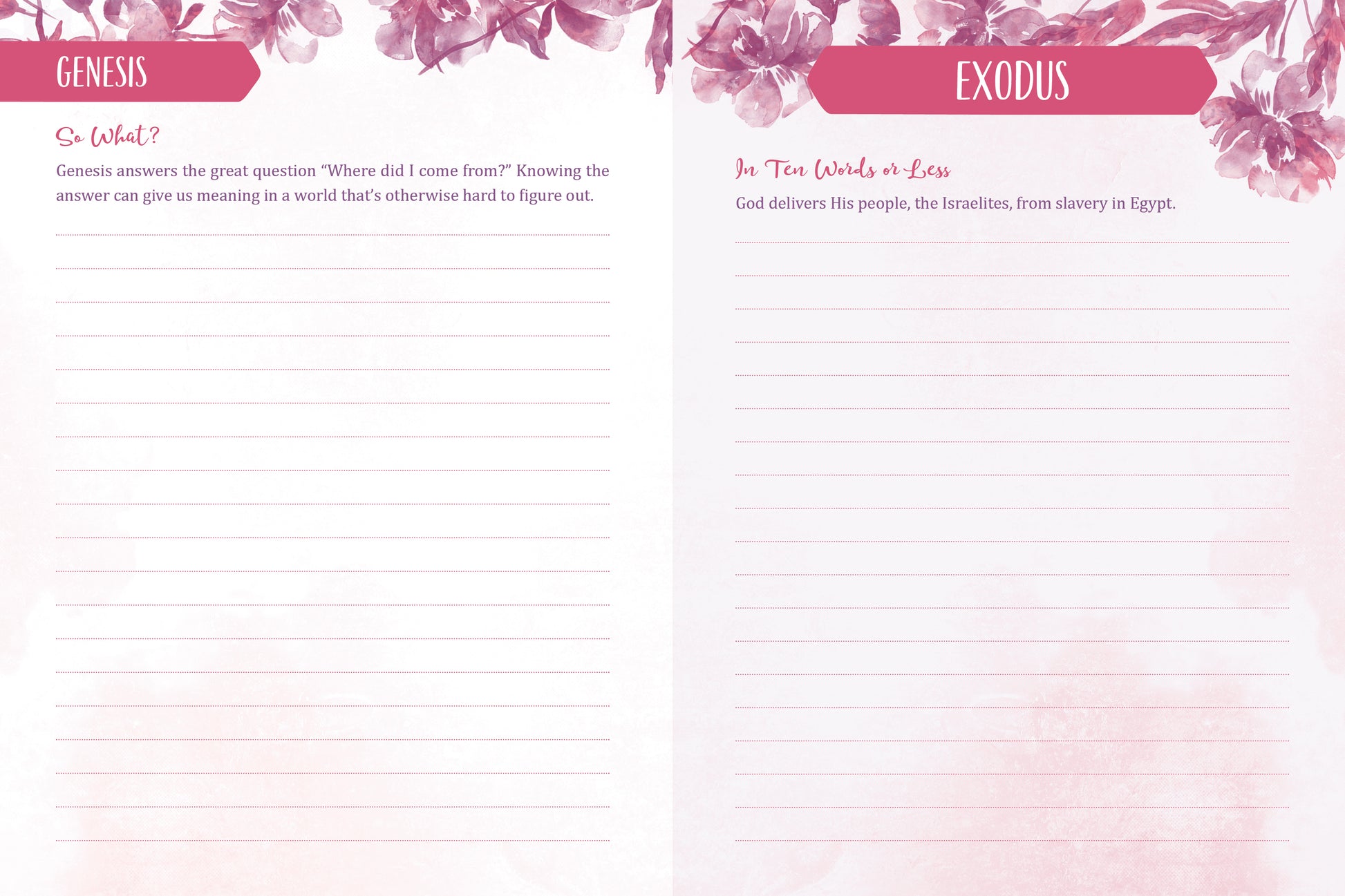 Know Your Bible Journal for Women - The Christian Gift Company