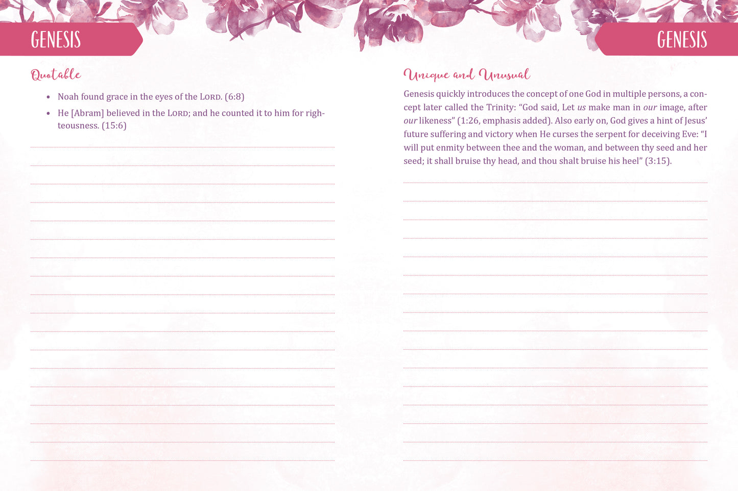 Know Your Bible Journal for Women - The Christian Gift Company