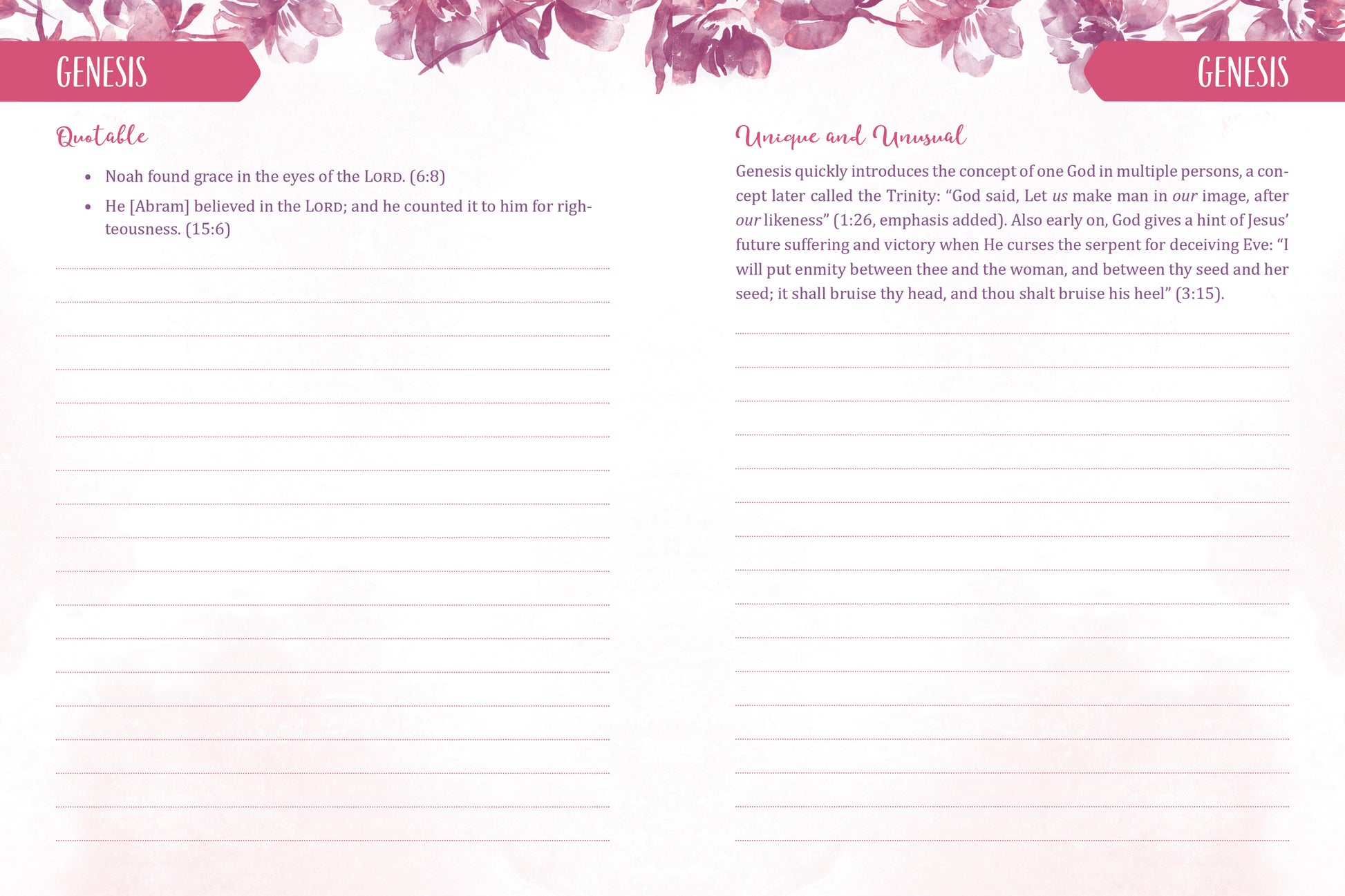 Know Your Bible Journal for Women - The Christian Gift Company