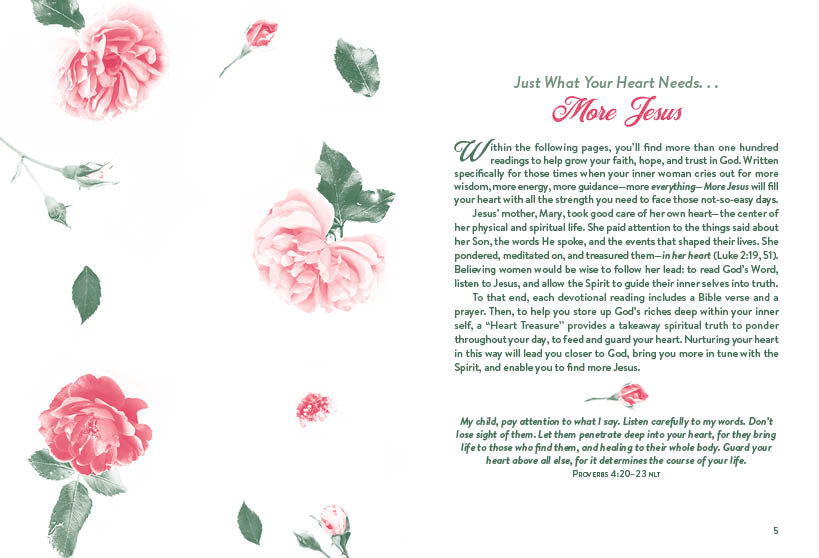 More Jesus: A Devotional Journal - The Christian Gift Company