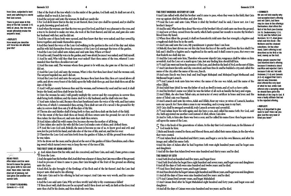 The 10-Minute Bible - The Christian Gift Company
