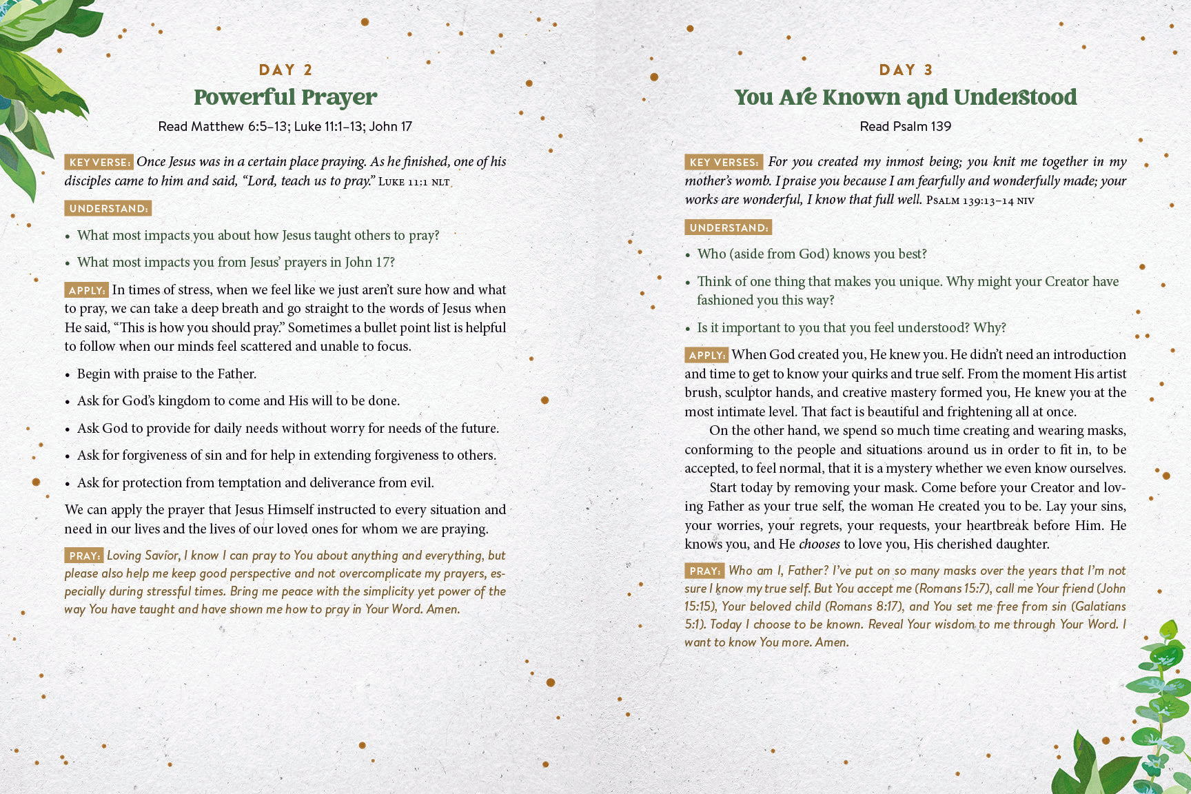 The Daily 5-Minute Bible Study for Women - The Christian Gift Company