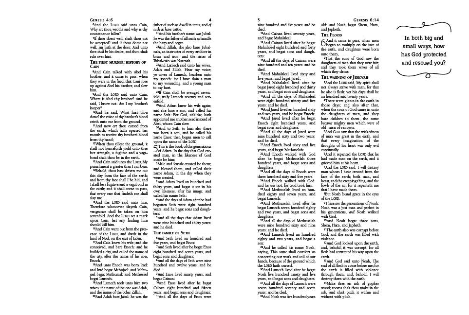 God's Word, My Thoughts KJV Bible for Teen Girls - The Christian Gift Company