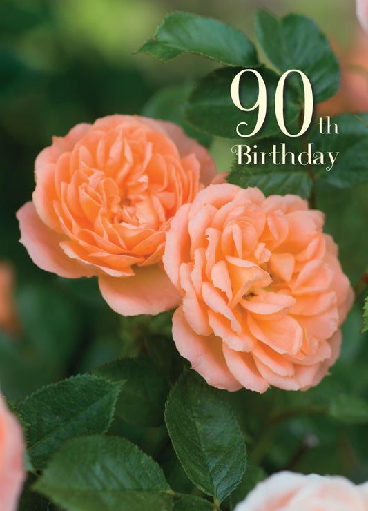 Age 90 Card - Elegant Peach Roses - The Christian Gift Company