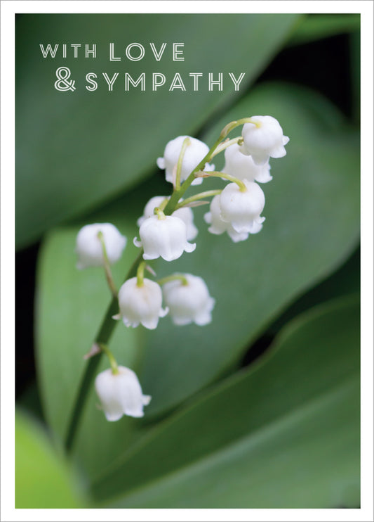 Sympathy Card - Lily Of The Valley - The Christian Gift Company