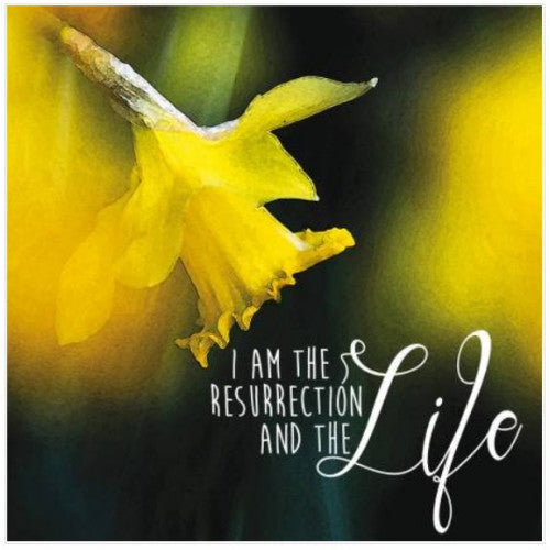 Easter Daffodil Cards Pack Of 5 - The Christian Gift Company