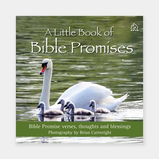 A Little Book of Bible Promises - The Christian Gift Company