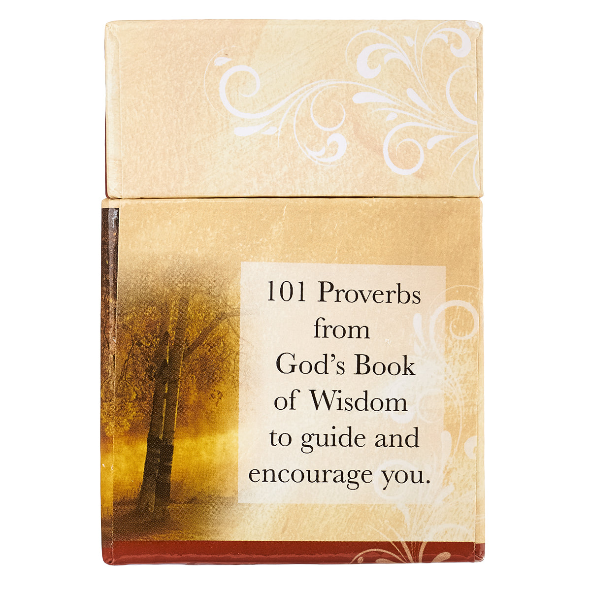 101 Proverbs to Live By Box of Blessings - The Christian Gift Company