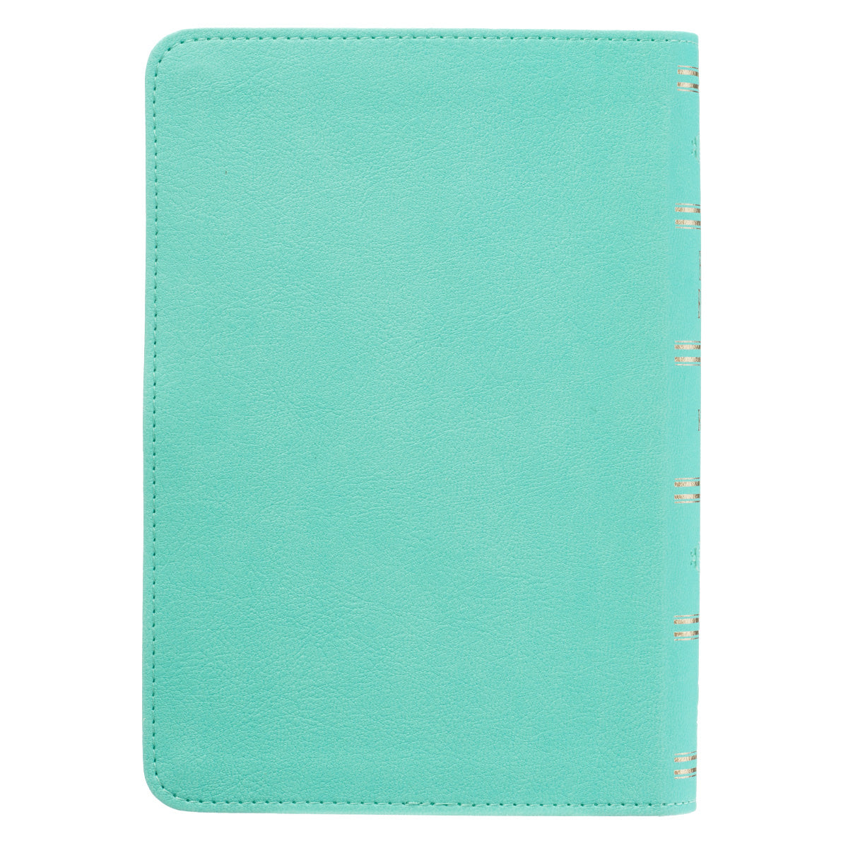 Robin’s-egg Blue Faux Leather Large Print Compact King James Version Bible - The Christian Gift Company