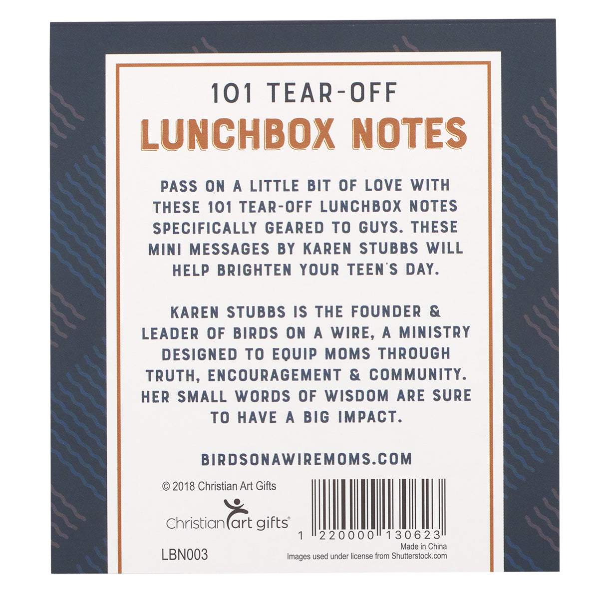 101 Lunchbox Notes For Guys - The Christian Gift Company