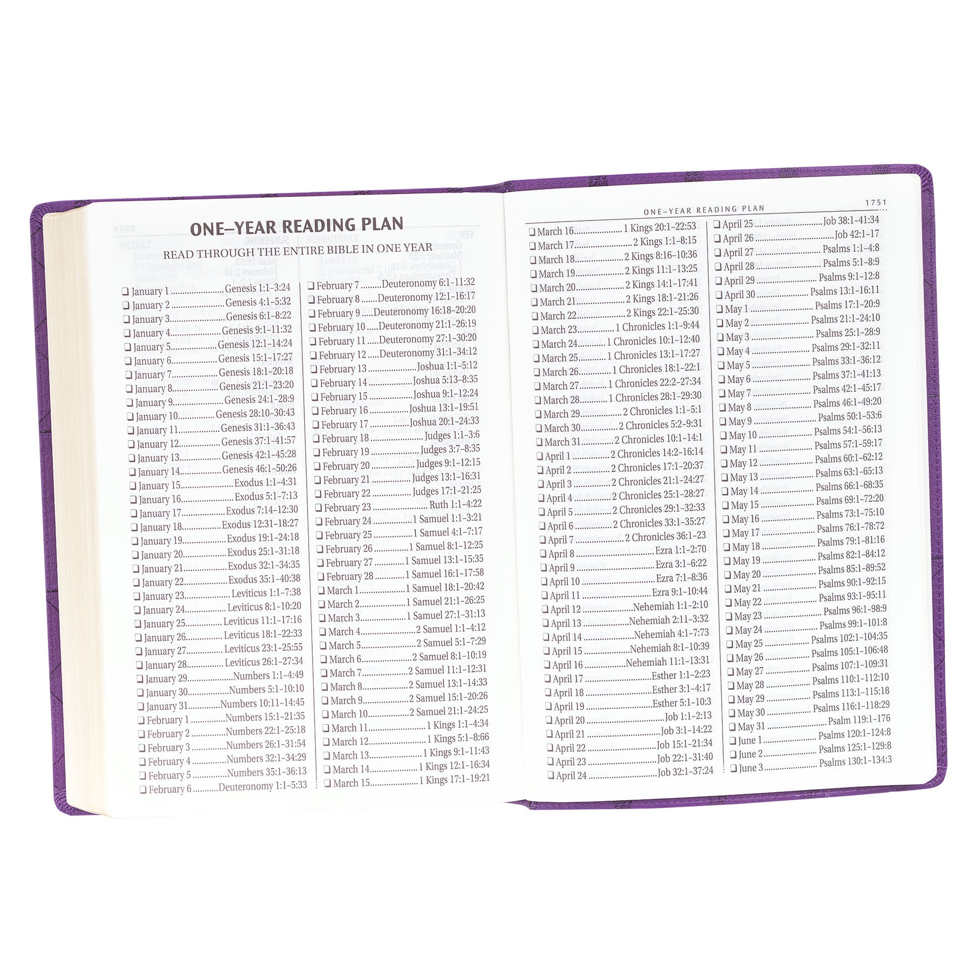 Purple Faux Leather Super Giant Print King James Version Bible - The Christian Gift Company