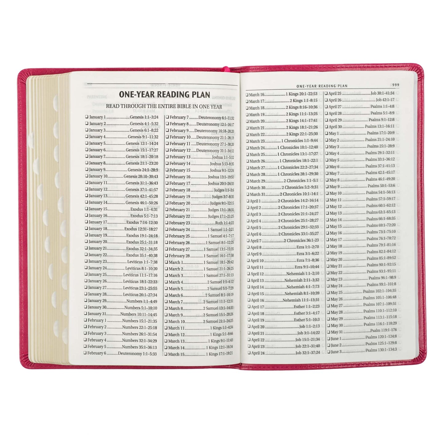 Pink Faux Leather King James Version Deluxe Gift Bible with Thumb Index - The Christian Gift Company