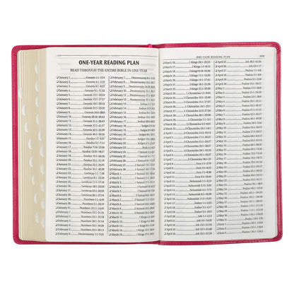 Pink Faux Leather King James Version Deluxe Gift Bible with Thumb Index - The Christian Gift Company