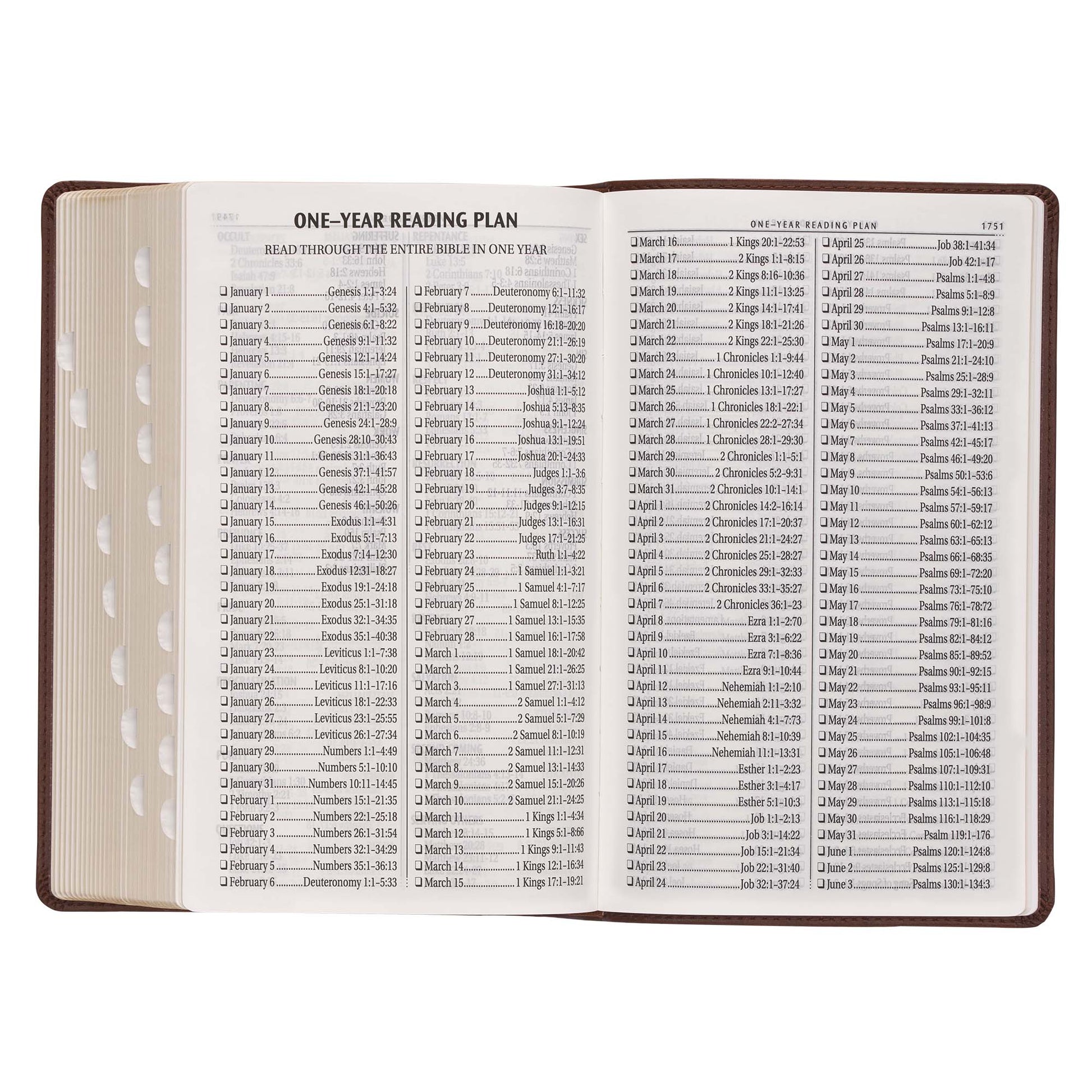 Medium Brown Ivy Faux Leather Giant Print Standard-size Bible with Thumb Index - The Christian Gift Company