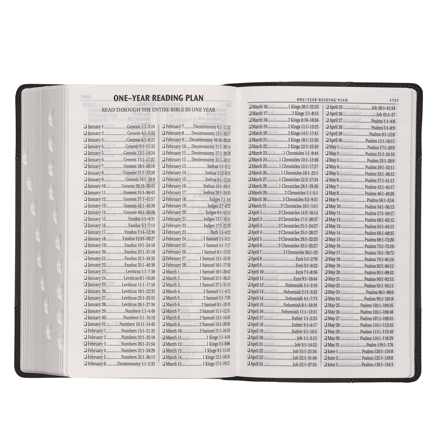 Black and Grey Two-tone Faux Leather Giant Print Standard-size Bible with Thumb Index - The Christian Gift Company