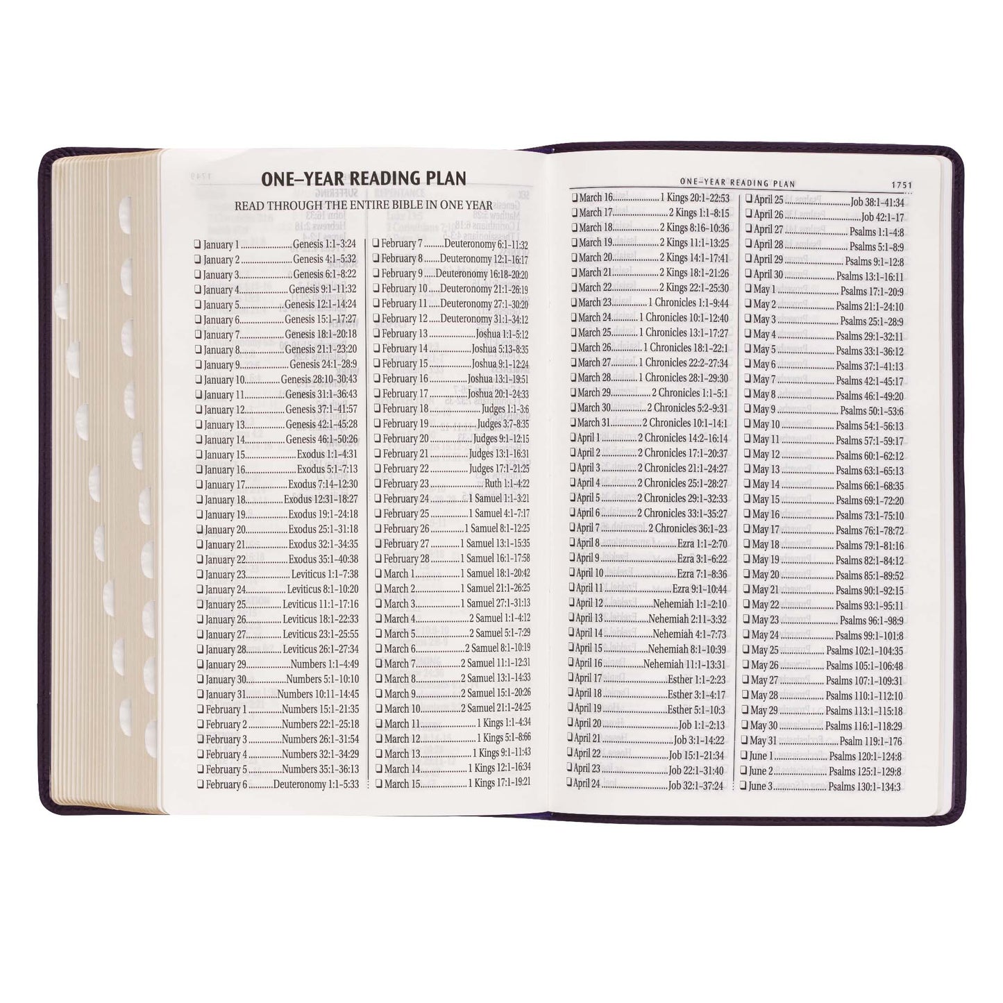 Purple Floral Faux Leather Giant Print Standard-size King James Version Bible with Thumb Index - The Christian Gift Company