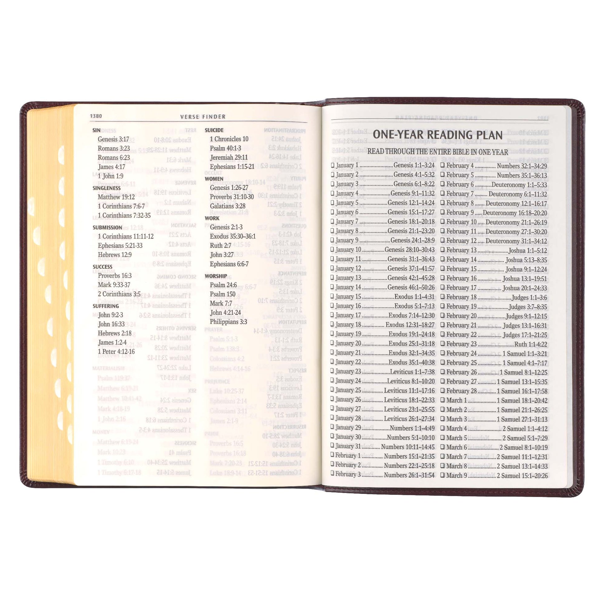 Antiqued Dark Brown Faux Leather Giant Print Full-size King James Version Bible with Thumb Index - The Christian Gift Company