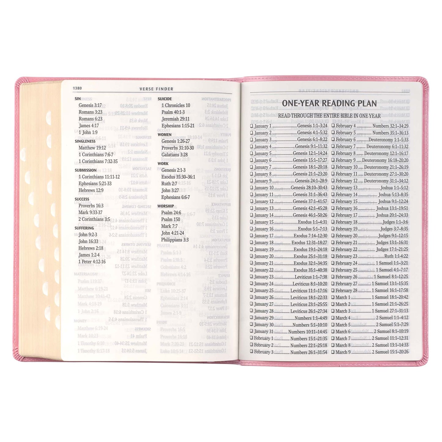 Pink Faux Leather Giant Print Full-size King James Version Bible with Thumb-index - The Christian Gift Company