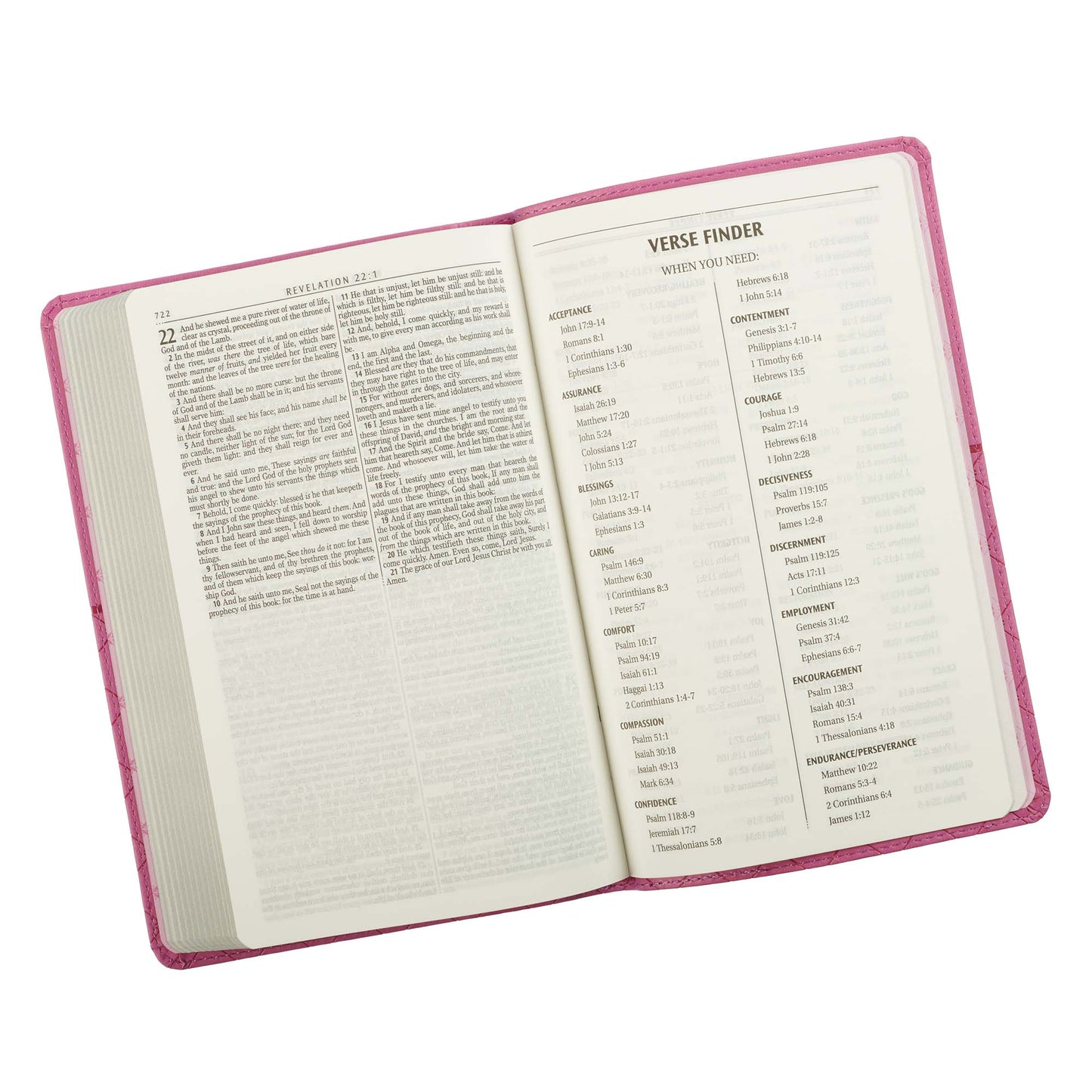 Pink Faux Leather King James Version Gift Edition Bible - The Christian Gift Company