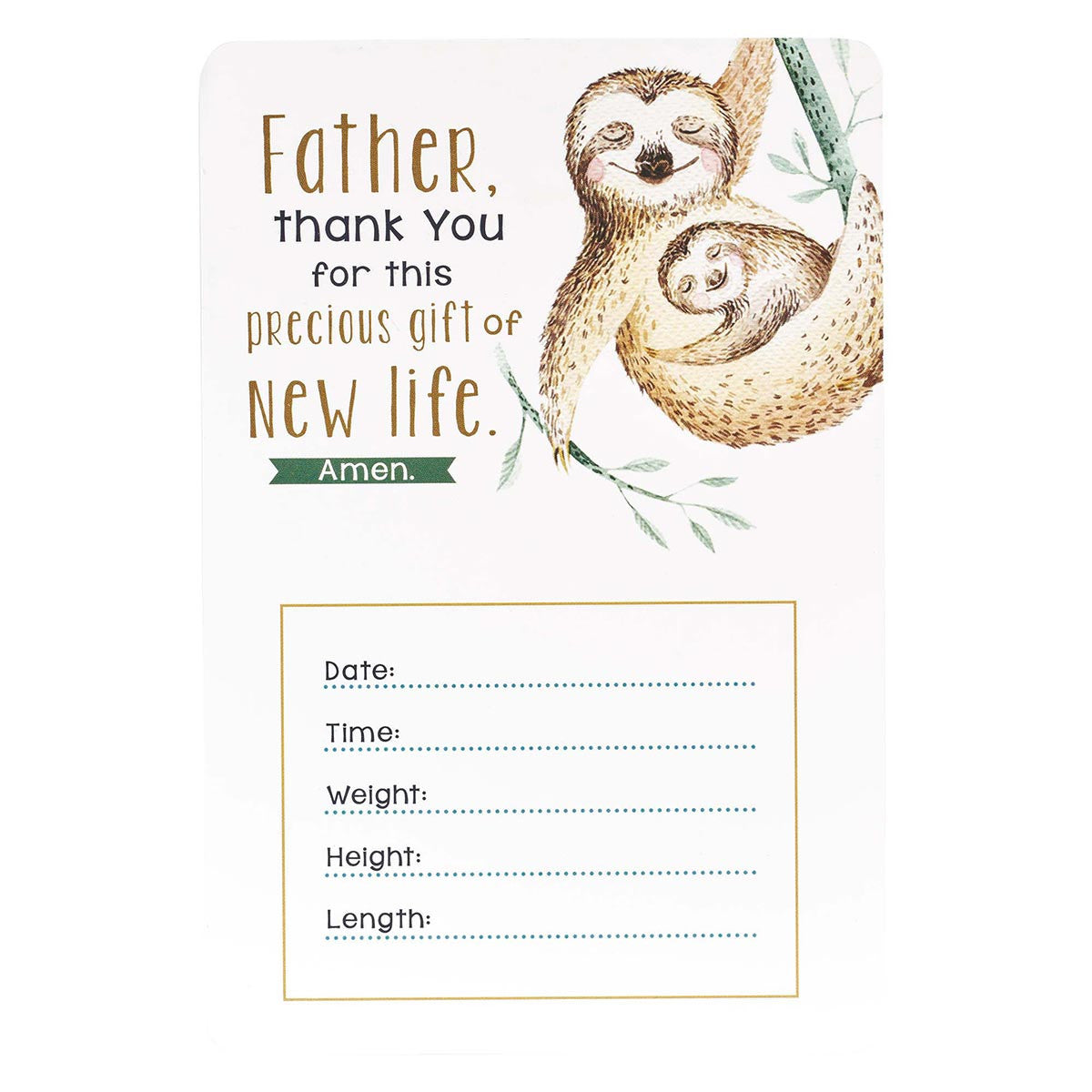 My Baby Boy's Milestone Cards - The Christian Gift Company