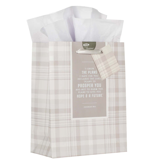 I Know the Plans Grey Plaid Medium Gift Bag - Jeremiah 29:11 - The Christian Gift Company
