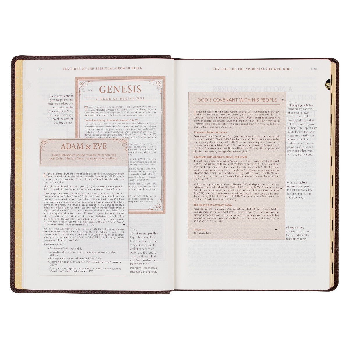 Espresso Brown Faux Leather Spiritual Growth Bible - The Christian Gift Company