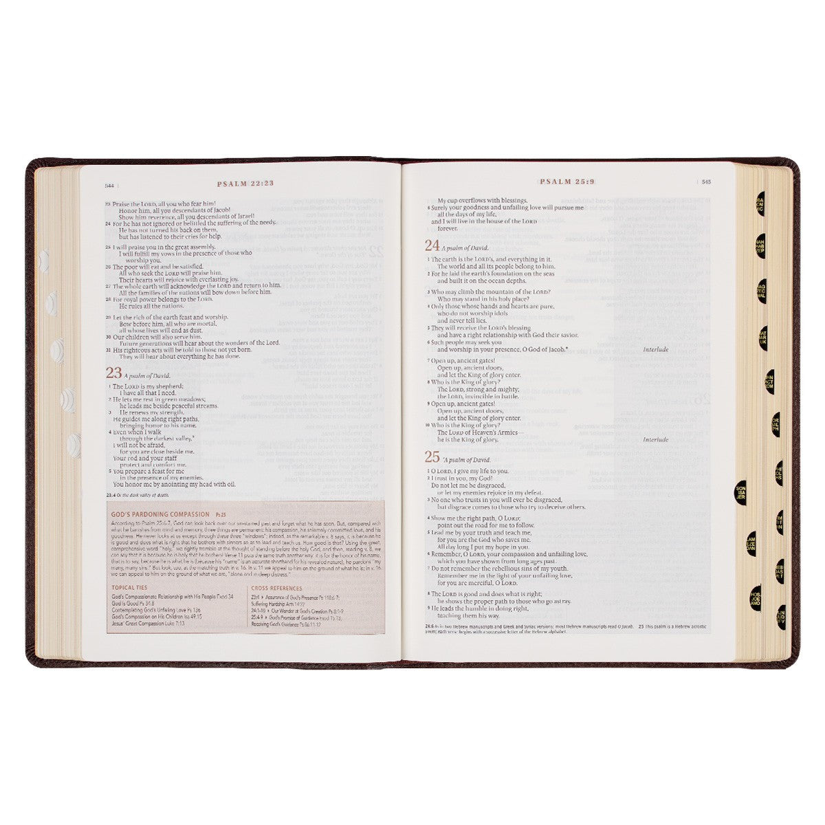 Espresso Brown Faux Leather Spiritual Growth Bible - The Christian Gift Company