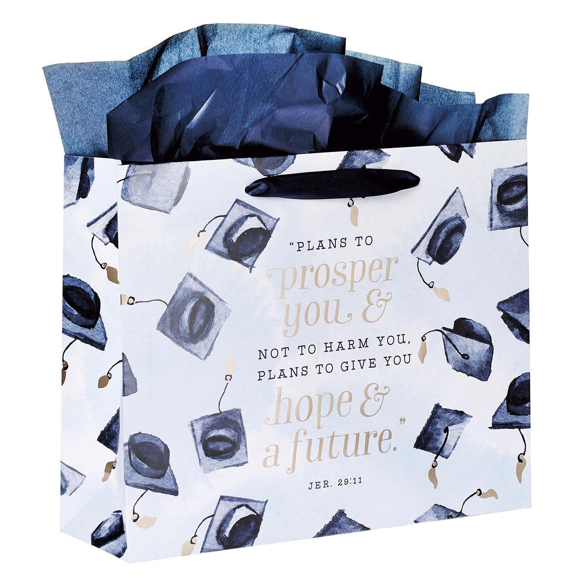 Hope & a Future Large Blue Gift Bag Set for Graduates with Card and Envelope - Jeremiah 29:11 - The Christian Gift Company