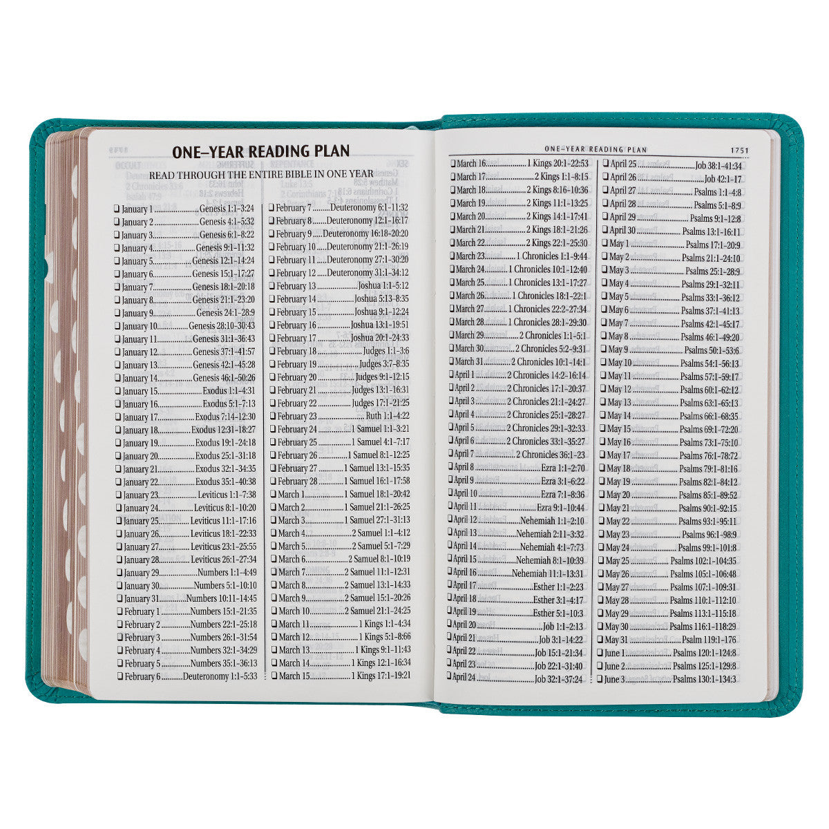 Teal Faux Leather Giant Print Standard-size King James Version Bible with Thumb Index - The Christian Gift Company