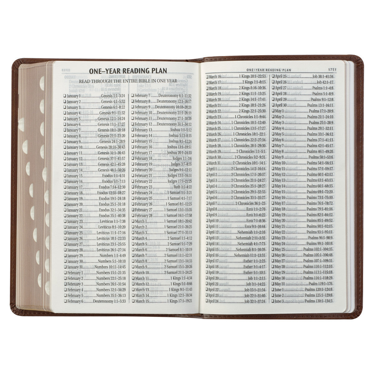 Saddle Tan and Butterscotch Faux Leather Giant Print Standard-size King James Version Bible with Thumb Indexing - The Christian Gift Company