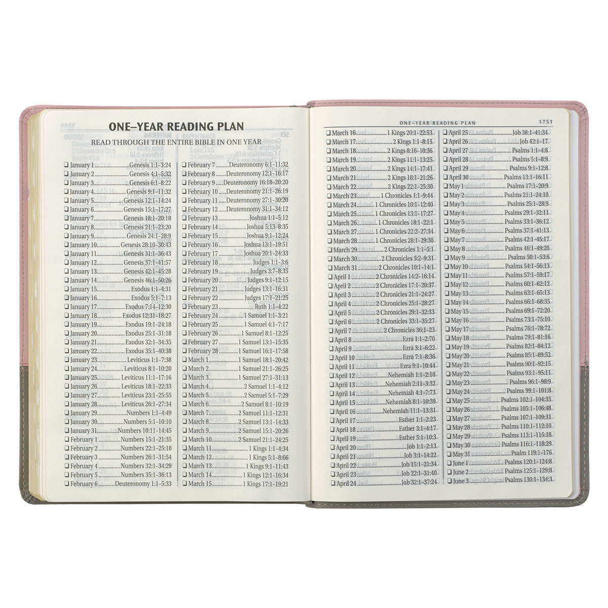 Pink and Grey Faux Leather Super Giant Print Full-size King James Version Bible with Thumb Index - The Christian Gift Company