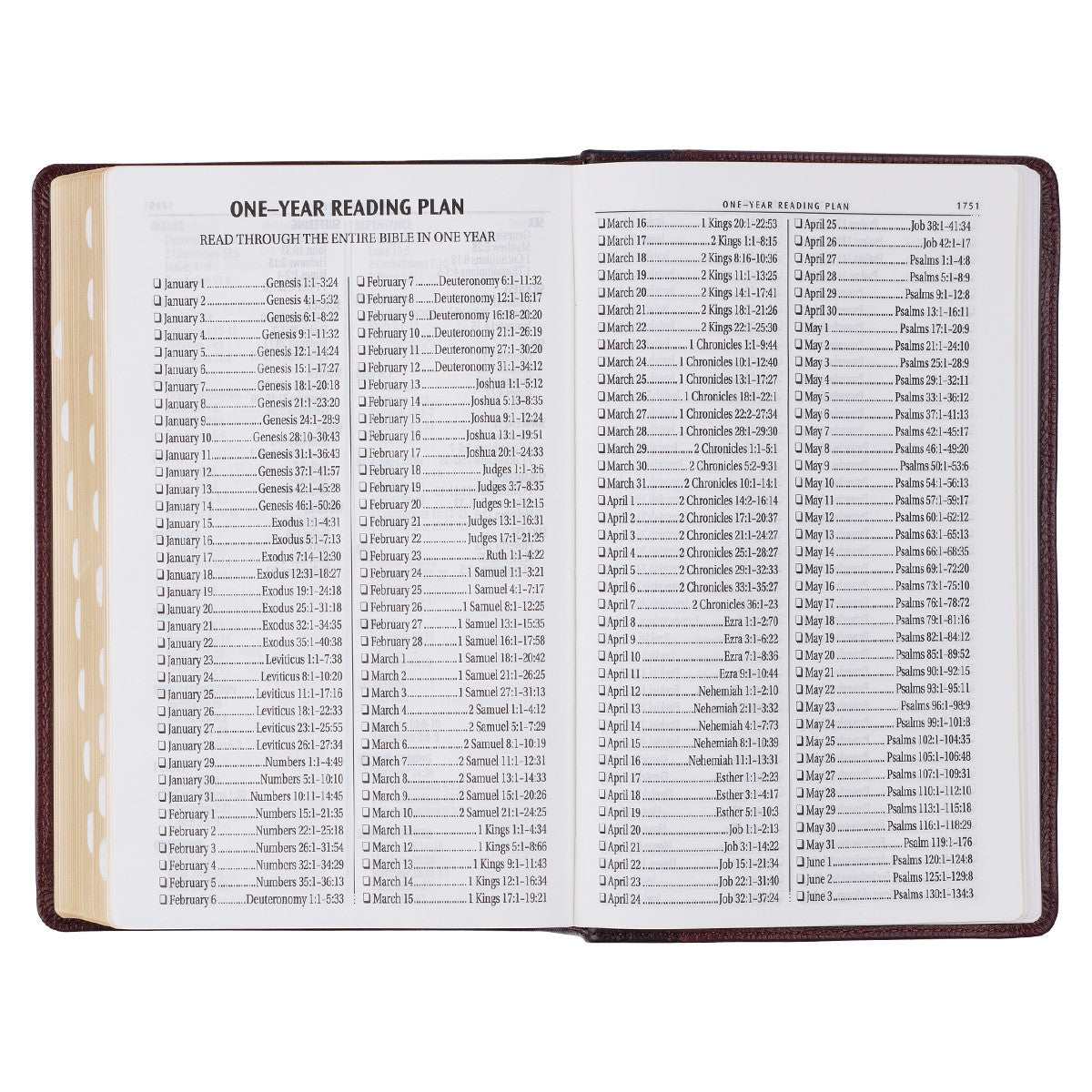 Two-tone Brown Genuine Leather Giant Print King James Version Bible with Thumb Indexing - The Christian Gift Company