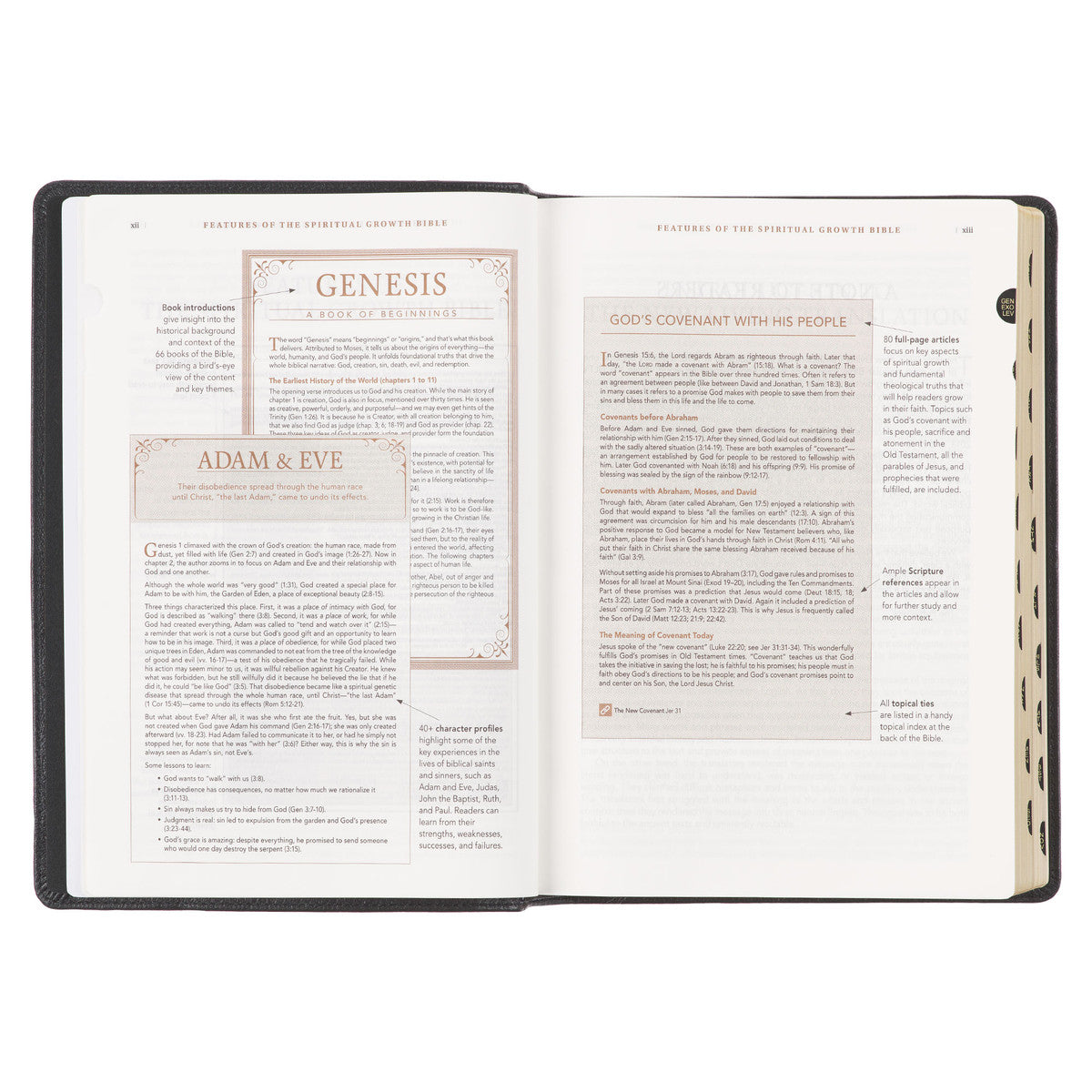 Black Genuine Leather Spiritual Growth Bible - The Christian Gift Company