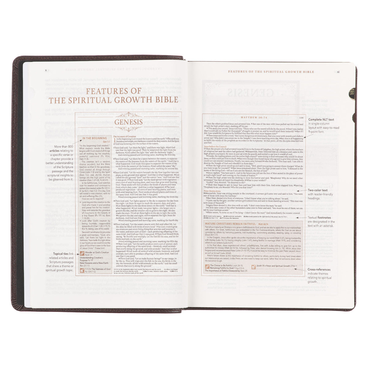 Brown Genuine Leather Spiritual Growth Bible - The Christian Gift Company