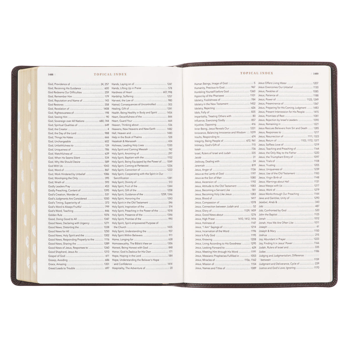 Brown Genuine Leather Spiritual Growth Bible - The Christian Gift Company