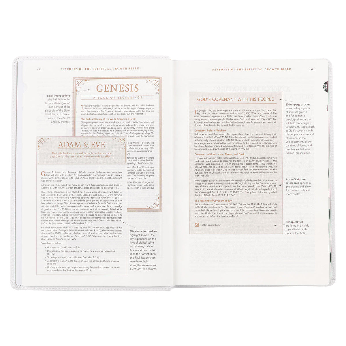 White Full Grain Leather Spiritual Growth Bible - The Christian Gift Company