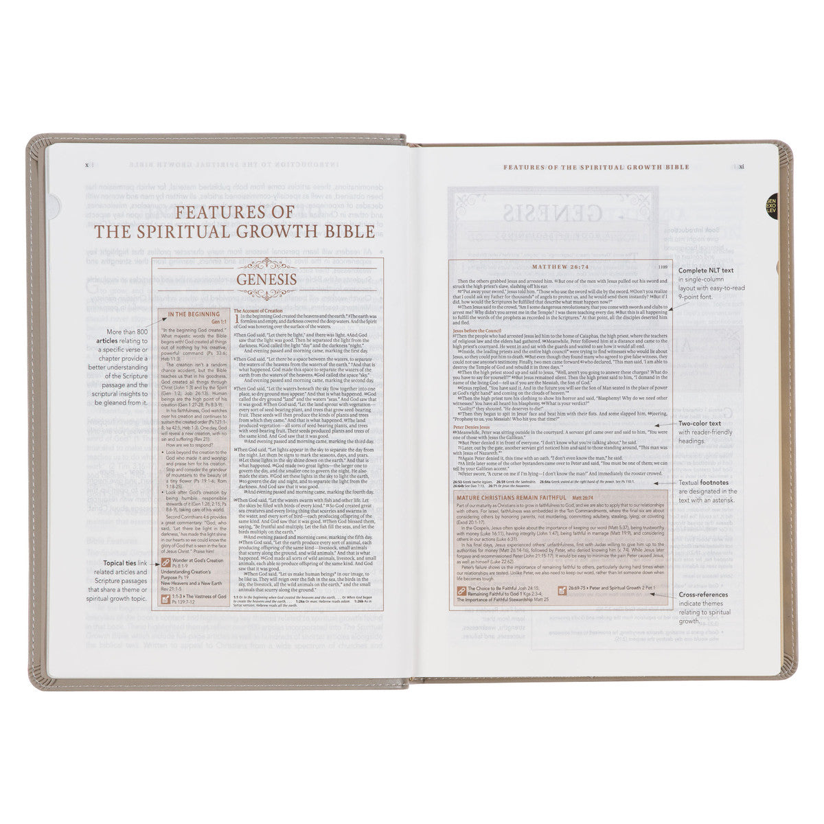 Embroidered Taupe Faux Leather Spiritual Growth Bible - The Christian Gift Company