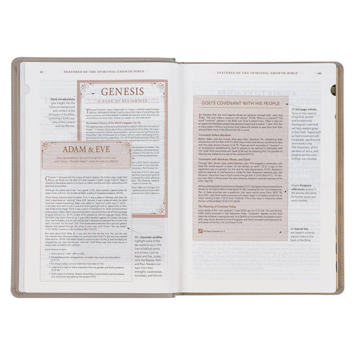 Embroidered Taupe Faux Leather Spiritual Growth Bible - The Christian Gift Company