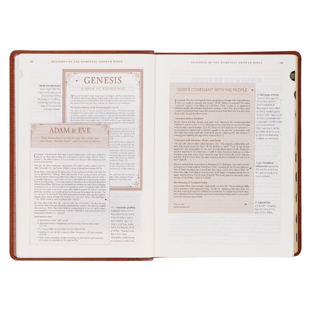 Saddle Tan Faux Leather Spiritual Growth Bible - The Christian Gift Company