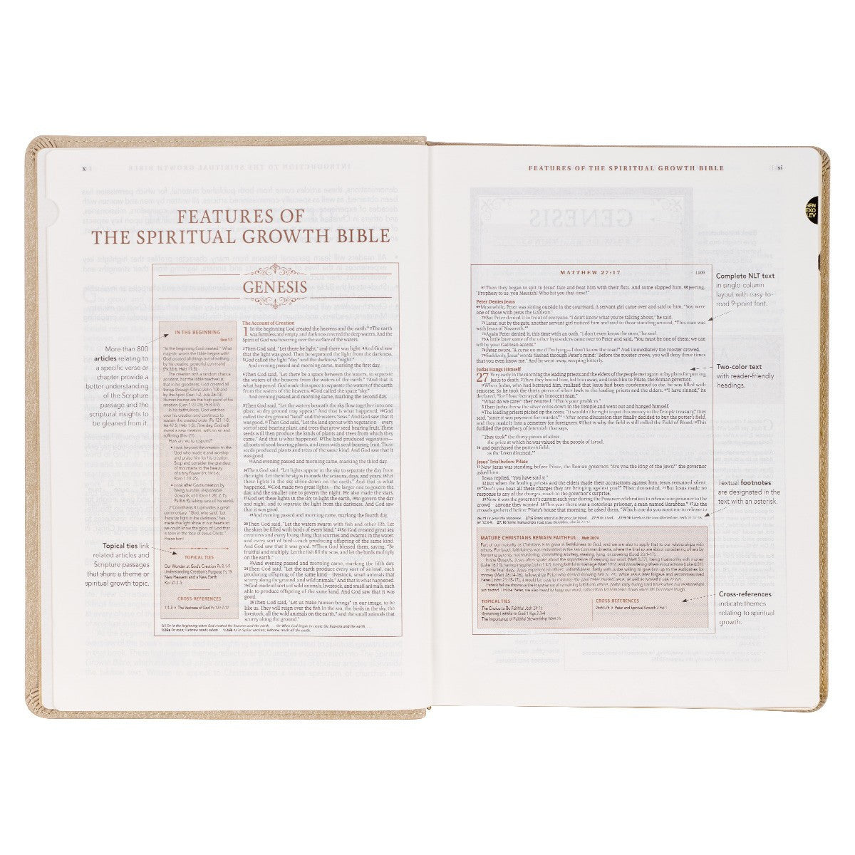 Pearlescent Taupe Faux Leather Spiritual Growth Bible - The Christian Gift Company