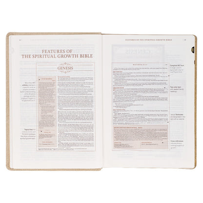 Pearlescent Taupe Faux Leather Spiritual Growth Bible - The Christian Gift Company