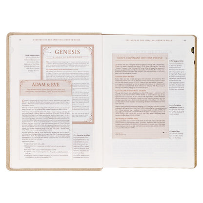 Pearlescent Taupe Faux Leather Spiritual Growth Bible - The Christian Gift Company