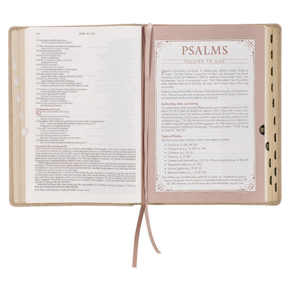 Pearlescent Taupe Faux Leather Spiritual Growth Bible - The Christian Gift Company