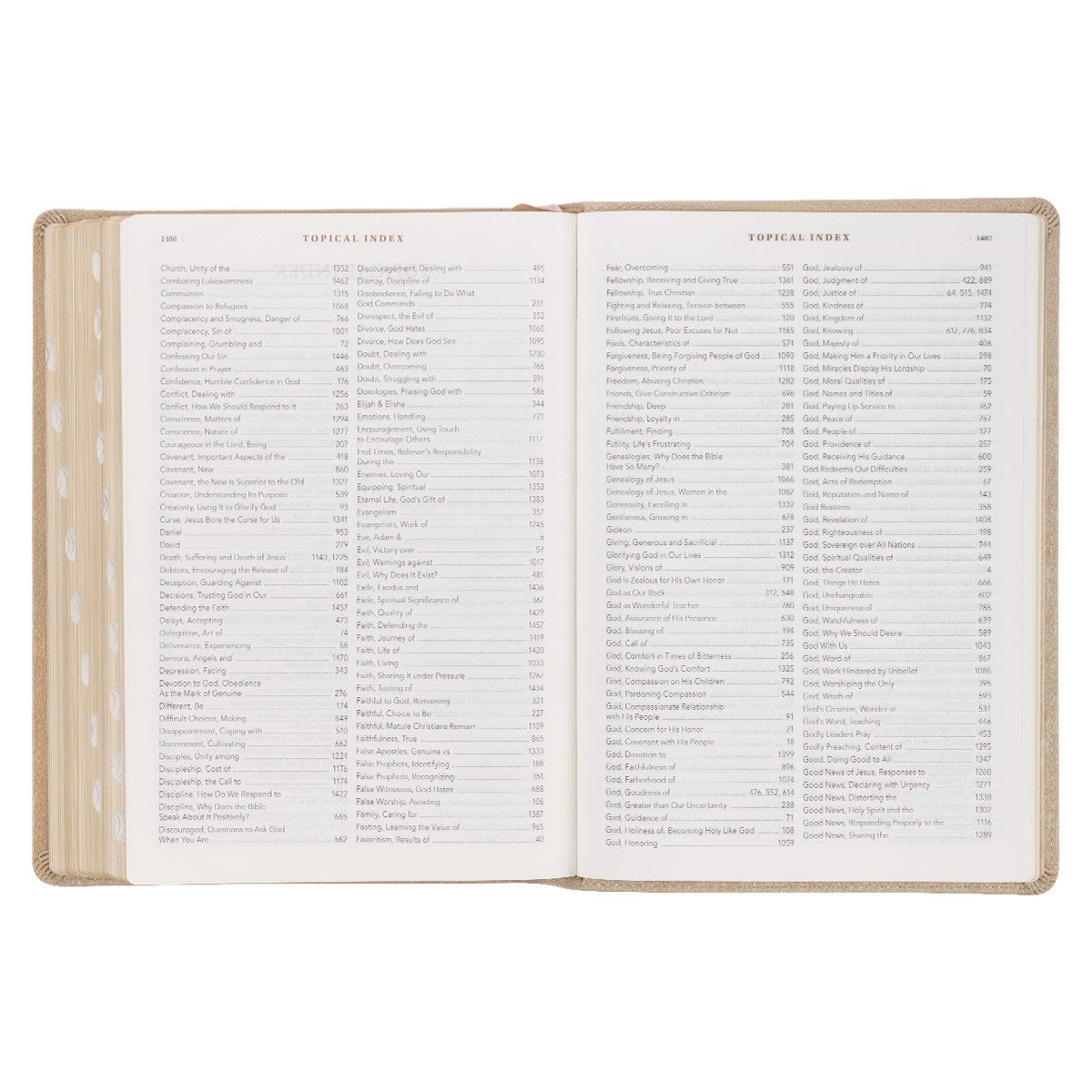 Pearlescent Taupe Faux Leather Spiritual Growth Bible - The Christian Gift Company