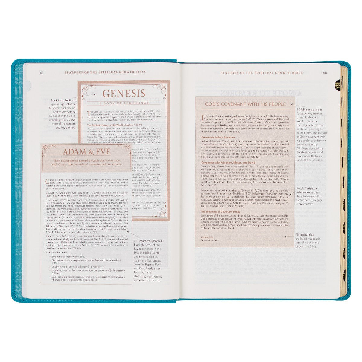 Teal Faux Leather Spiritual Growth Bible - The Christian Gift Company